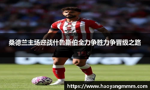 YY体育官网
