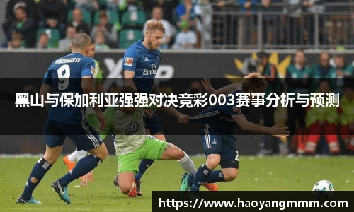 YY体育