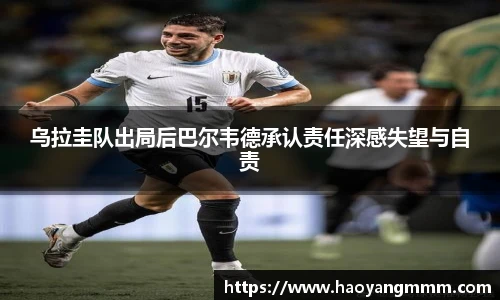易游体育
